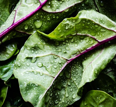 audit marketing digital restaurants Eat Salad